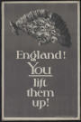 England ! You lift them up !