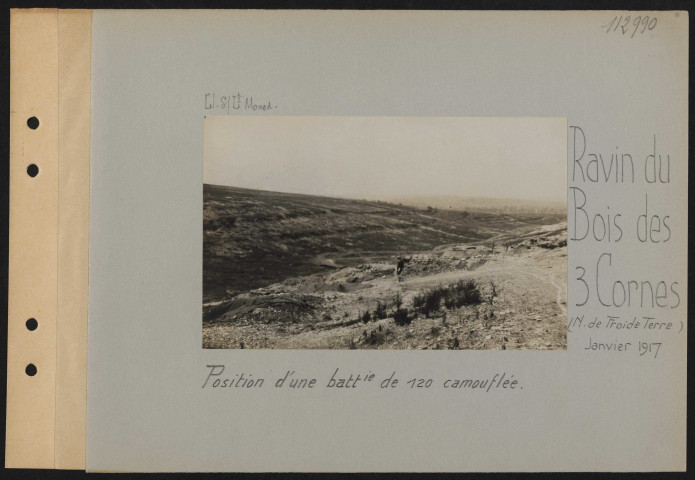Ravin du Bois des Trois Cornes (nord de Froide-Terre). Position d'une batterie de 120 camouflée