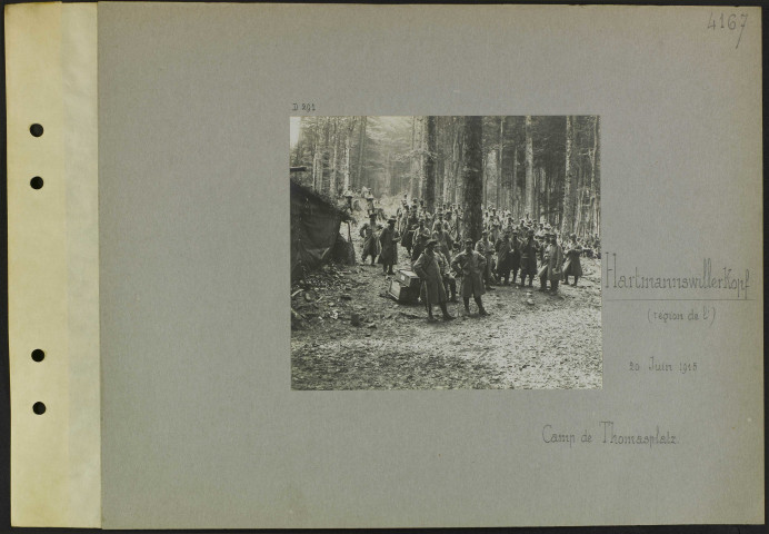 Hartmannswillerkopf (Région de l'). Camp de Thomasplatz