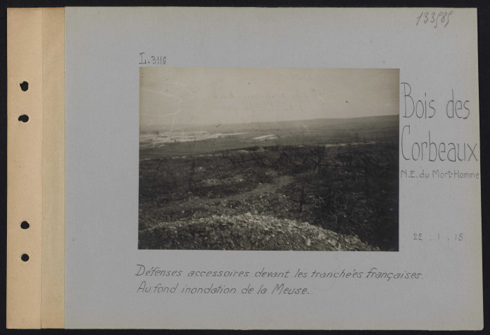 Bois des Corbeaux (nord-est du Mort-Homme). Défenses accessoires devant les tranchées françaises. Au fond, inondation de la Meuse