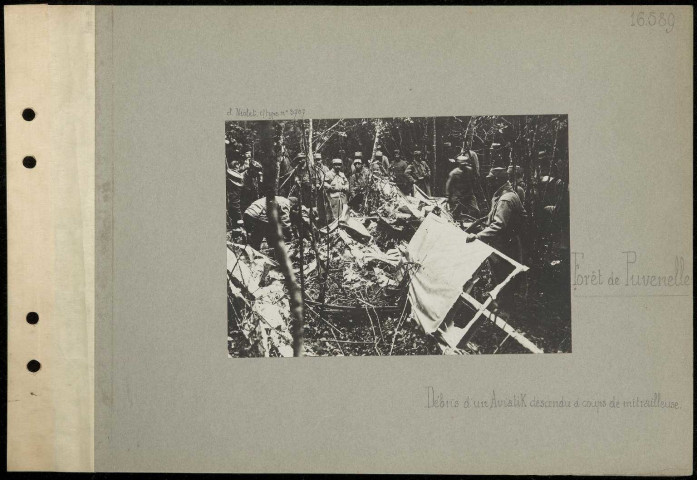 Forêt de Puvenelle. Débris d'un Aviatik descendu à coups de mitrailleuse