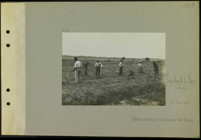 Traubach-le-Bas (Près de). Soldats employés aux travaux des champs