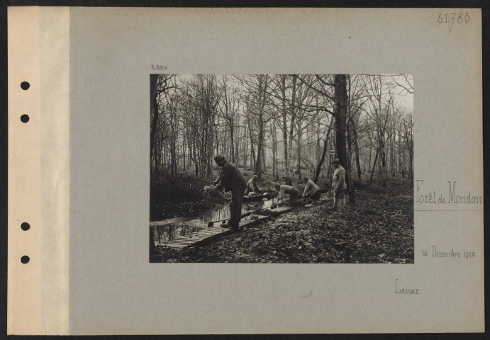 Forêt de Mondon. Lavoir