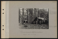 Vaumoise. Chars d'assaut défilés sous bois. Premier groupement stationné du 14 au 18 juillet