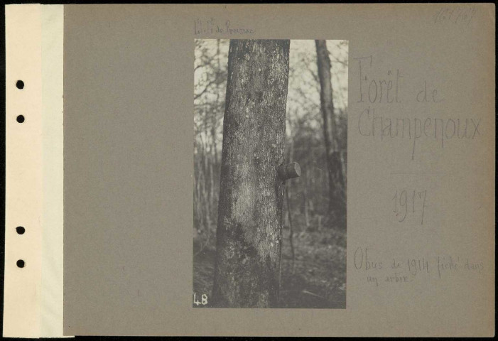 Forêt de Champenoux. Obus de 1914 fiché dans un arbre
