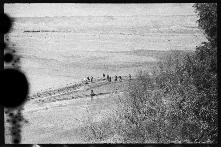 Djelfa (Oued M'Zi). Sidi-Makhlouf. Ruisseau des singes. Gorges de la Chiffa