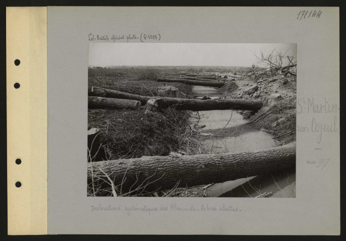 Saint-Martin-sur-Cojeul. Destructions systématiques des Allemands. Arbres abattus
