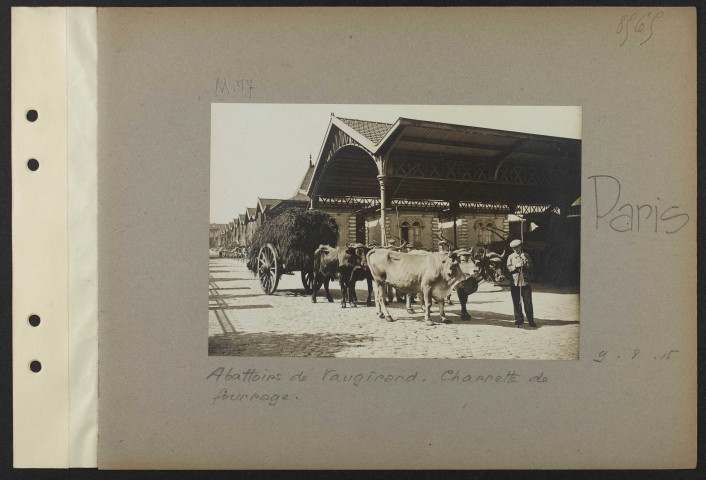 Paris. Abattoirs de Vaugirard. Un échaudoir