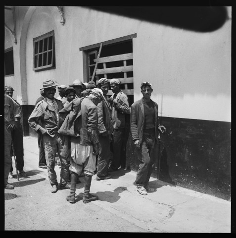 Reportage sur les comités de gestion de Cherchell et en particulier le travail de paysans