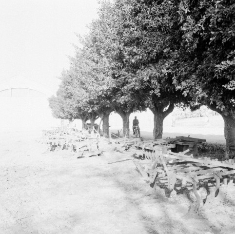 Reportage sur le domaine de la Trappe, propriété nationalisée de la famille Borgeaud à Staouëli, près d'Alger (suite). 4