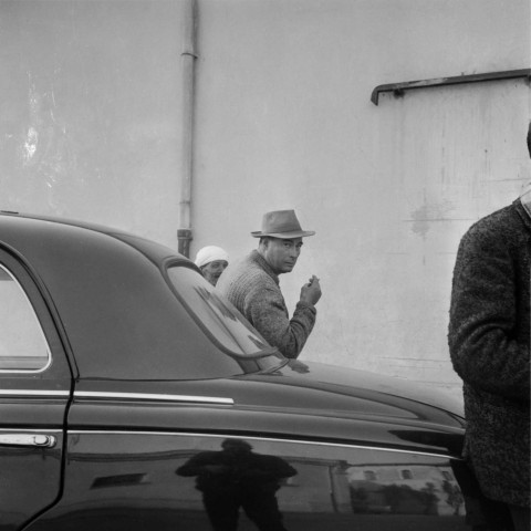 Reportage sur le domaine de la Trappe, propriété nationalisée de la famille Borgeaud à Staouëli, près d'Alger (fin). 9
