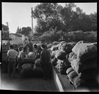 Douaouda. Coopérative agricole de conditionnement