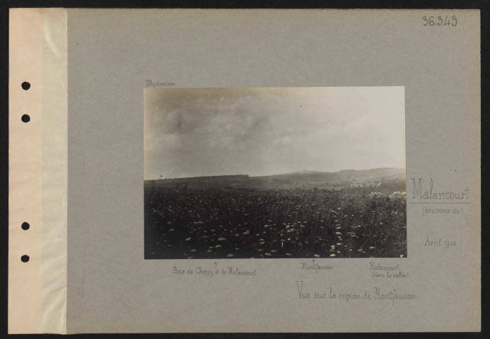 Malancourt (environs de). Vue sur la région de Montfaucon