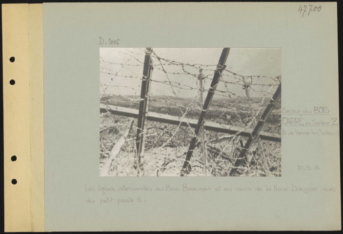 Secteur du Bois Carré ou Secteur Z (nord de Vienne-le-Château). Les lignes allemandes du Bois Beaurain et au ravin de la Noue Dieusson, vues du petit poste 6