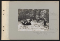 Montmacq. Le château : dans le parc, mulets d'artillerie anglaise se roulant