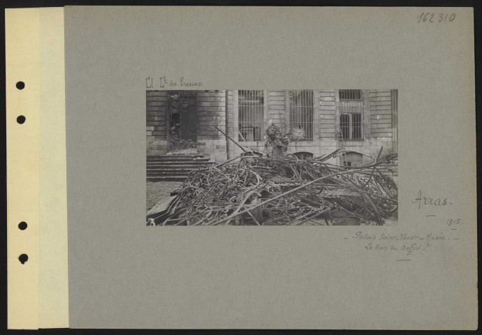 Arras. Palais Saint-Vaast. Musée. Le lion du Beffroi