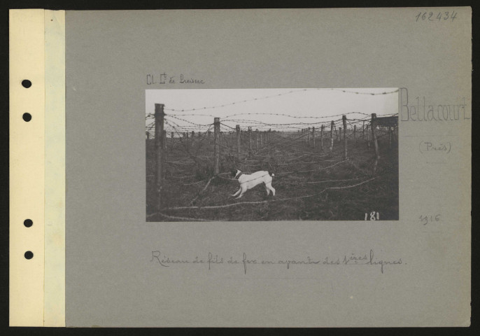 Bellacourt (près). Réseau de fils de fer en avant des premières lignes