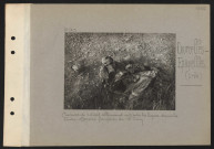 Courcelles-Epayelles (près). Cadavre de soldat allemand resté entre les lignes depuis la contre-offensive française du 15 juin