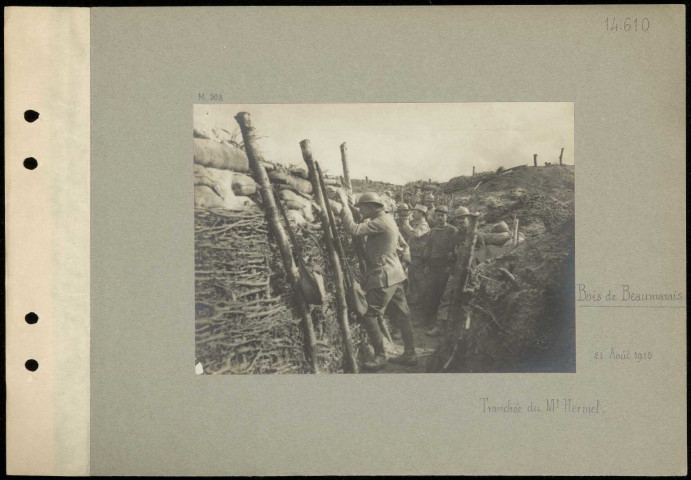 Bois de Beaumarais. Tranchée du mont Hermel