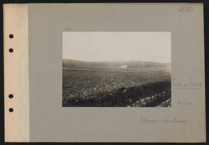 Forêt de Hesse. Éclatement d'obus allemand
