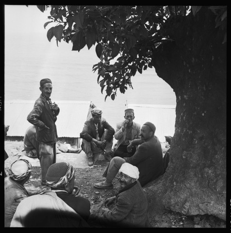 Reportage sur les comités de gestion de Cherchell et en particulier le travail de paysans