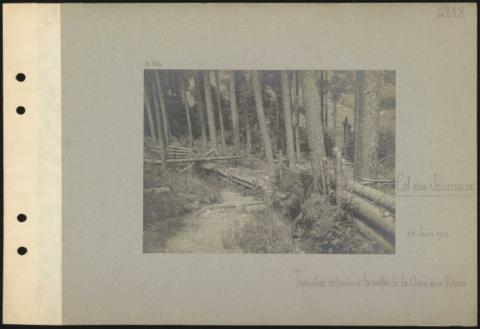 Col des Journaux. Tranchée défendant la vallée de la Croix-aux-Mines
