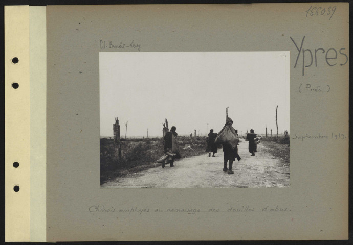 Ypres (près). Chinois employés au ramassage des douilles d'obus