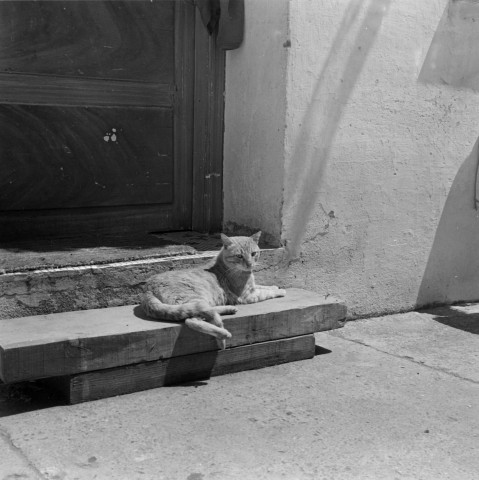 Filature de Fort de l'Eau. 2