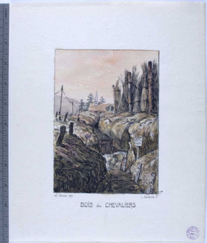 Bois des Chevaliers (Meuse), 20 janvier 1917