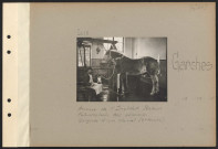 Garches. Annexe de l'Institut Pasteur. Fabrication des sérums. Saignée du cheval (troisième temps)