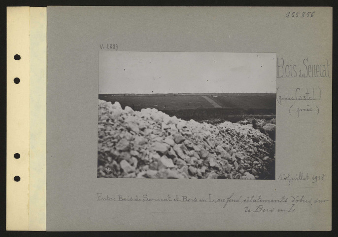 Bois de Senecat (près Castel) (près). Entre bois de Senecat et bois en L, au fond, éclatements d'obus sur le bois en L