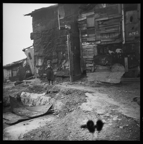 Habitats précaires sur les hauteurs d'Alger (suite): 2