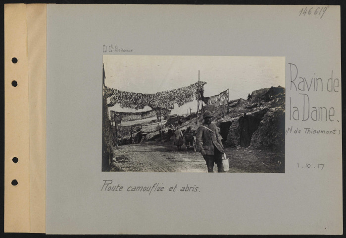 Ravin de la Dame (nord de Thiaumont). Route camouflée et abris
