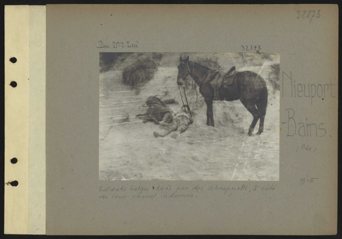 Nieuport-Bains (près). Soldats belges tués par des schrapnells, à côté de leur cheval indemne