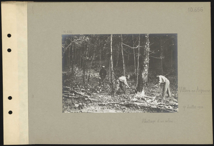 Villers-en-Argonne. Abattage d'un arbre