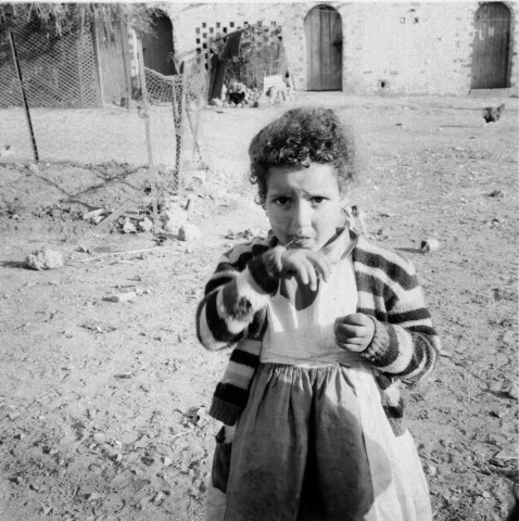 Reportage sur le domaine de la Trappe, propriété nationalisée de la famille Borgeaud à Staouëli, près d'Alger (suite). 4