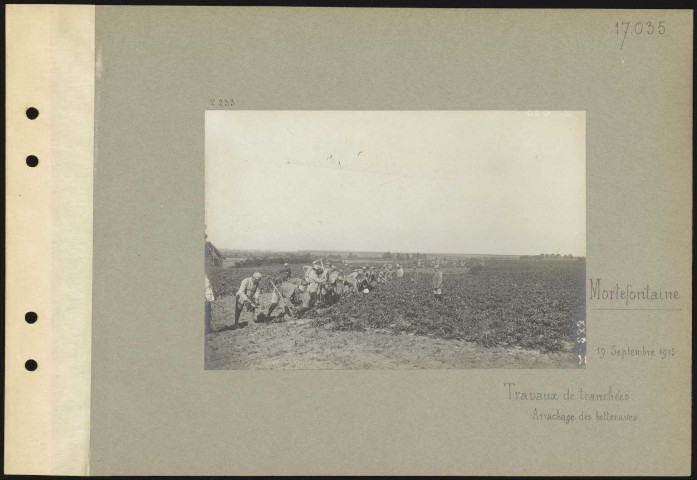 Mortefontaine. Travaux de tranchées. Arrachage des betteraves