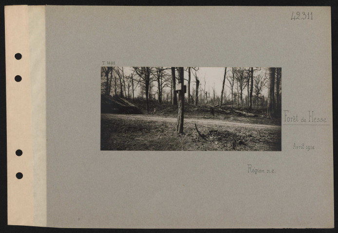 Forêt de Hesse. Région nord-est