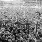 Manifestation pour la libération du peuple Angolais. 3