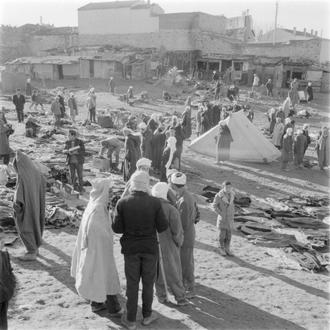 Saïda: habitat nomade, marché, travailleurs de l'alfa