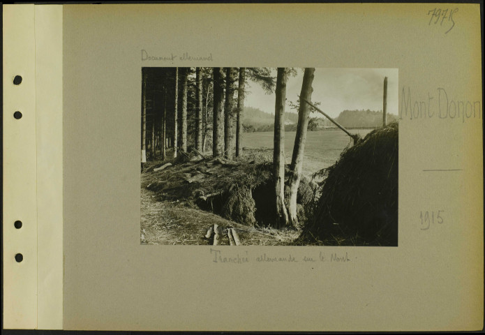 Mont Donon. Tranchée allemande dans le mont