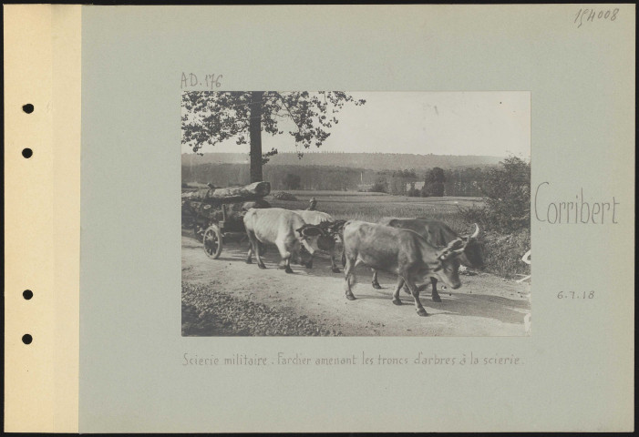 Corribert. Scierie militaire. Fardier amenant les troncs d'arbres à la scierie