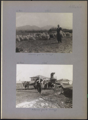 S.l. (Albanie). Albanais près de Durazzo