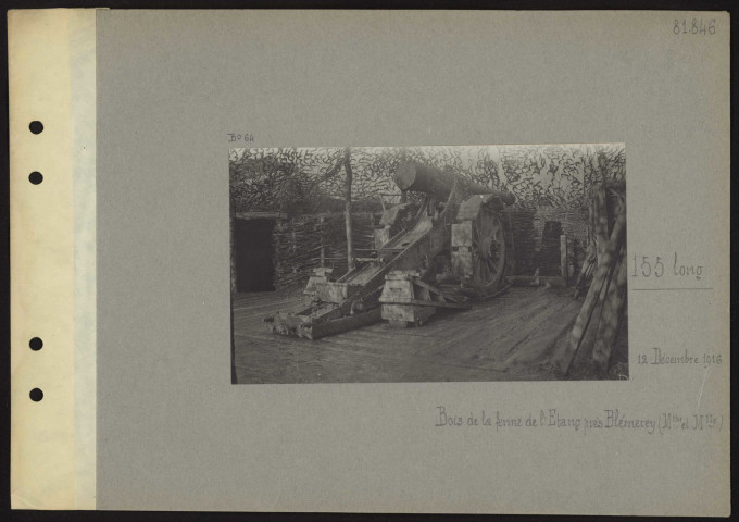 Blémerey (près) (Meurthe-et-Moselle). 155 long. Bois de la ferme de l'étang