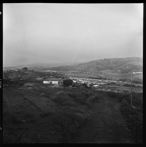 Douaouda. Coopérative agricole de conditionnement
