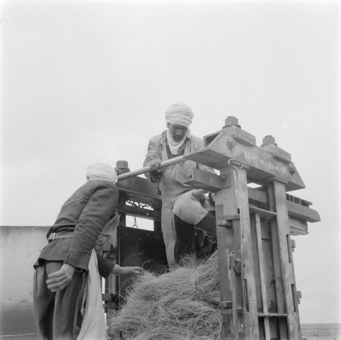 Saïda: habitat nomade, marché, travailleurs de l'alfa
