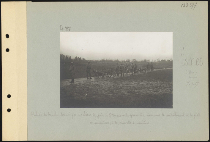 Fismes (près). Artillerie de tranchée traînée par des chiens. À gauche, pièce de 37 mm sur voiture ; au centre, chiens pour le ravitaillement de la pièce en munitions ; à droite, voiturette à munitions