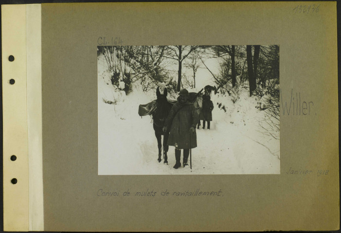 Willer. Convoi de mulets de ravitaillement