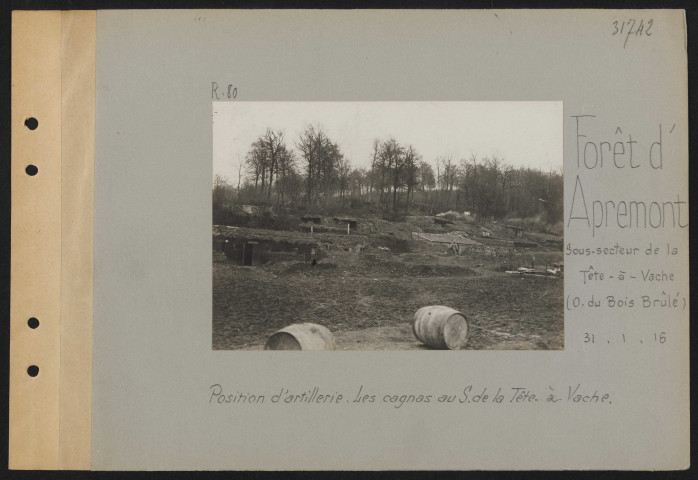 Forêt d'Apremont, sous-secteur de la Tête-à-Vache (ouest du Bois Brûlé). Positions d'artillerie. Les cagnas au sud de la Tête-à-Vache