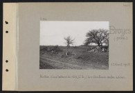 Broyes (près). Position d'une batterie de 155 ; (à droite) la mitrailleuse contre-avions